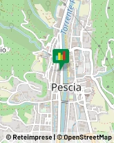 Piazza Mazzini, 100,51017Pescia