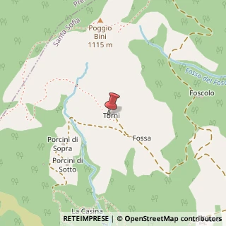 Mappa Santa Sofia,47018, 47018 Santa Sofia FC, Italia, 47018 Santa Sofia, Forlì-Cesena (Emilia Romagna)