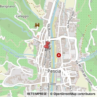 Mappa Piazza Giuseppe Mazzini, 22, 51017 Pescia, Pistoia (Toscana)