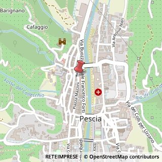 Mappa Piazza Giuseppe Mazzini, 2, 51017 Pescia, Pistoia (Toscana)