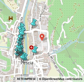 Mappa Piazza Guido Rossa, 51017 Pescia PT, Italia (0.295)