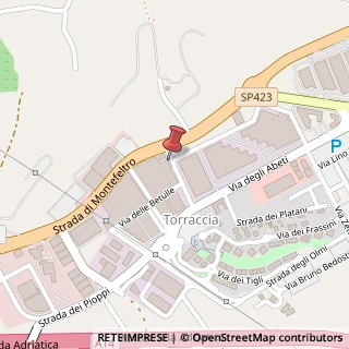 Mappa Via delle Betulle, 30, 61122 Pesaro, Pesaro e Urbino (Marche)