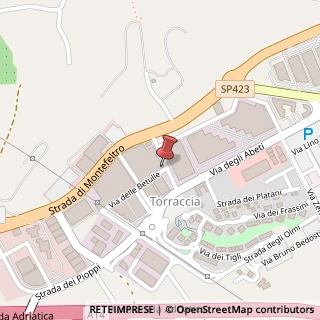 Mappa Via delle Betulle, 8, 61122 Pesaro, Pesaro e Urbino (Marche)