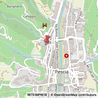 Mappa Via del Pozzetto, 8, 51017 Pescia, Pistoia (Toscana)