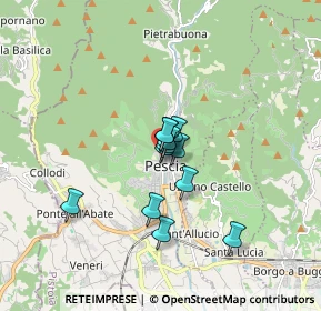 Mappa Piazza degli Obizzi, 51017 Pescia PT, Italia (1.055)