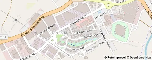Mappa Pesaro