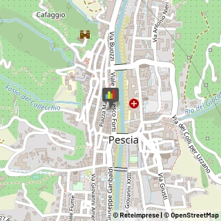 Podologia - Studi e Centri Pescia,51017Pistoia