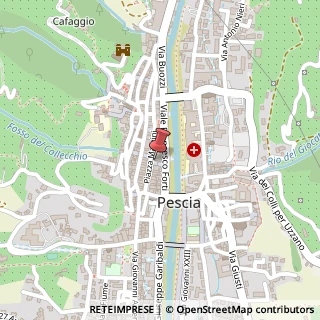 Mappa Piazza Giuseppe Mazzini, 55, 51017 Pescia, Pistoia (Toscana)