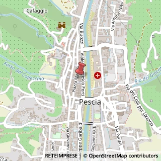 Mappa Piazza Mazzini, 47, 51017 Pescia, Pistoia (Toscana)