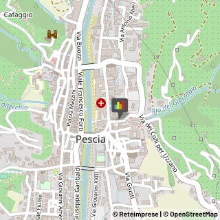 Fisiokinesiterapia - Medici Specialisti Pescia,51017Pistoia