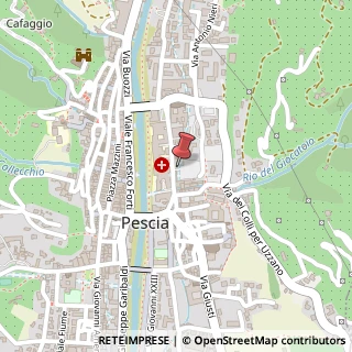 Mappa Piazza Giovanni Falcone, 4, 51017 Pescia, Pistoia (Toscana)