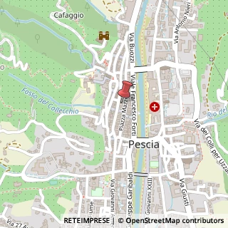 Mappa P.zza Mazzini, 38, 51017 Pescia, Pistoia (Toscana)