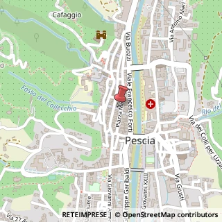 Mappa Piazza Giuseppe Mazzini, 54, 51017 Pescia, Pistoia (Toscana)