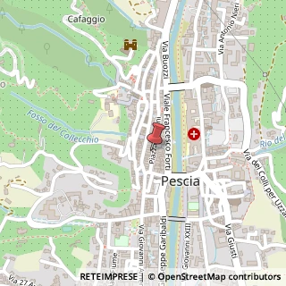 Mappa Piazza Giuseppe Mazzini, 74, 51017 Pescia, Pistoia (Toscana)