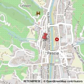 Mappa Via Ruga degli Orlandi, 61, 51017 Pescia, Pistoia (Toscana)