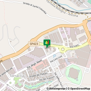 Via degli Abeti, 24/2,61122Pesaro