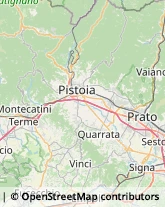 Bulbi e Sementi Monsummano Terme,51015Pistoia