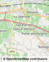 Bulbi e Sementi Pistoia,51100Pistoia