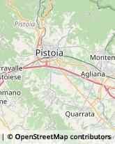 Bulbi e Sementi Pistoia,51100Pistoia