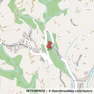 Mappa Via Colligiana, 51010 Massa e Cozzile PT, Italia, 51010 Massa e Cozzile, Pistoia (Toscana)