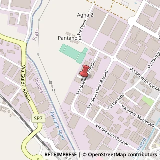 Mappa Via G. Puccini, 165, 59013 Montemurlo, Prato (Toscana)