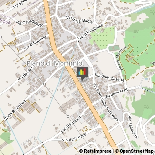 Estetiste Massarosa,55054Lucca