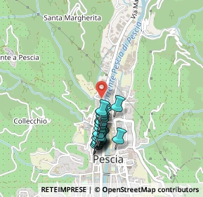 Mappa Piazzetta del Moro, 51017 Pescia PT, Italia (0.412)