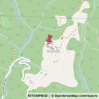 Mappa Frazione Migliano, 33, 55041 Camaiore, Lucca (Toscana)