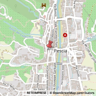 Mappa Via Borgo Delle Vittorie, 18, 51017 Pescia, Pistoia (Toscana)