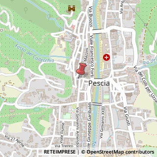Mappa Borgo della Vittoria, 4, 51017 Pescia, Pistoia (Toscana)