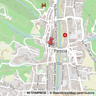 Mappa Piazza Giuseppe Mazzini, 104, 51017 Pescia, Pistoia (Toscana)