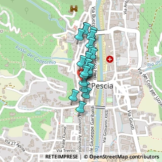 Mappa Via Borgo Della Vittoria, 51017 Pescia PT, Italia (0.1445)