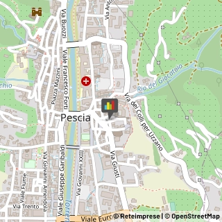 Agenzie ed Uffici Commerciali Pescia,51017Pistoia