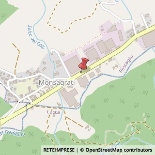 Mappa 18 Via Provinciale, San Martino In Freddana, LU 55060, 55064 Monsagrati LU, Italia, 55064 Pescaglia, Lucca (Toscana)