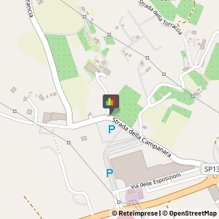 Equitazione - Impianti e Corsi,61122Pesaro e Urbino
