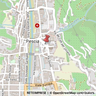 Mappa Piazza maddalena 1, 51017 Pescia, Pistoia (Toscana)