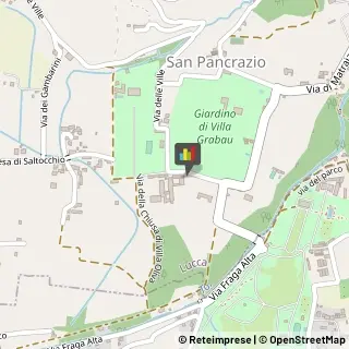 Associazioni Culturali, Artistiche e Ricreative,55100Lucca