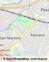 Alimentari Pesaro,61122Pesaro e Urbino