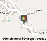 Frutta e Verdura - Dettaglio,95024Catania
