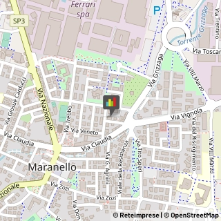 Assicurazioni,41053Modena