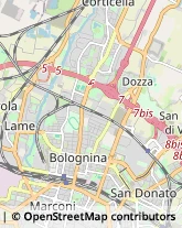 Filati - Dettaglio Bologna,40137Bologna