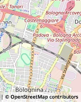 Filati - Dettaglio Bologna,40139Bologna