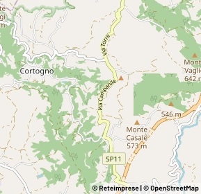 Mappa Via Campanile, 42034 Casina RE, Italia (1.63077)