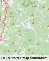 Aziende Agricole Serra Riccò,16010Genova