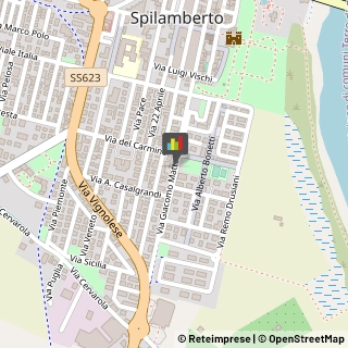 Palestre e Centri Fitness Spilamberto,41057Modena