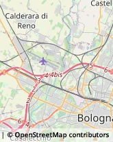 Vivai Piante e Fiori Bologna,40132Bologna