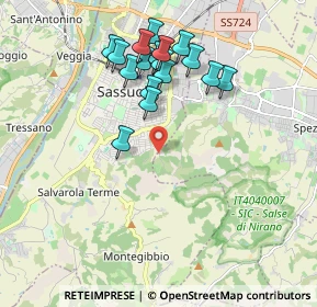 Mappa Via J.S.Bach, 41042 Sassuolo MO, Italia (1.86235)