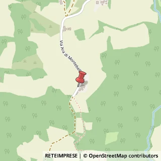 Mappa Via Ara Montebello, 87, 42014 Castellarano, Reggio nell'Emilia (Emilia Romagna)