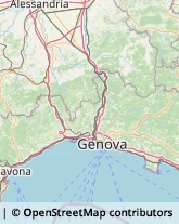 Provincia e Servizi Provinciali Cogoleto,16016Genova