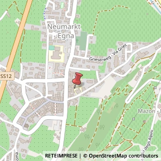 Mappa Piazza della Scuola, 6, 39044 Egna, Bolzano (Trentino-Alto Adige)